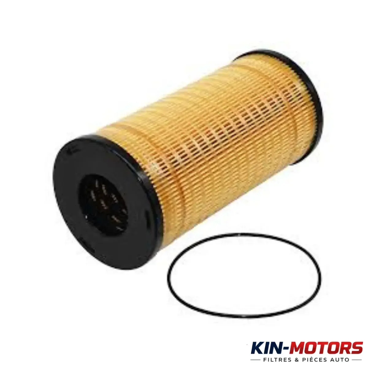 Filtre Carburant Perkins CH10930