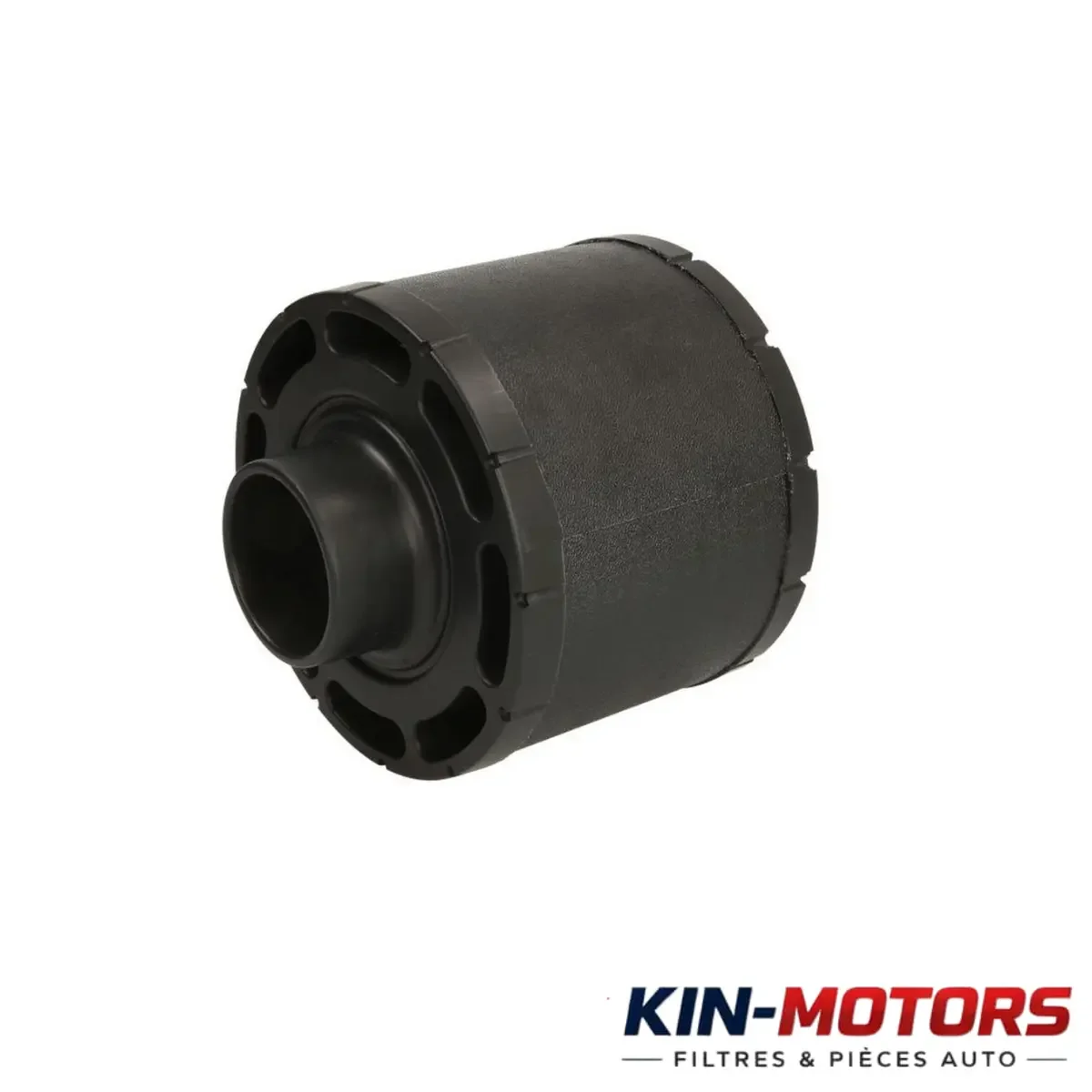 Filtre Air Donaldson C065003